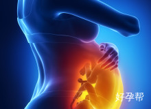 2025山东省济南市试管婴儿费用揭秘