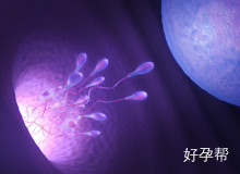 北京卵巢早衰试管成功经验分享