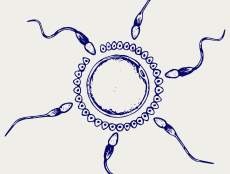 天津市做试管去哪个医院好?