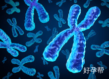 广东省广州市二次促排卵医院排名前十推荐！2025年高成功率医院揭秘。