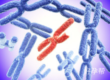 2025菏泽试管婴儿医院费用解析及成功率排名一览