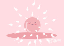 东莞凤岗广济医院试管婴儿成功率高吗？解析成功率与关键因素