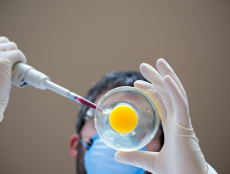 上海市试管婴儿大约费用多少？2026年最新价格明细与影响因素详解