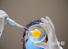 试管促排必看：乳清蛋白粉VS普通蛋白粉如何科学选择