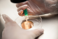 上海市试管婴儿费用大揭秘：2025年最新价目表及省钱技巧