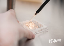 2025乌鲁木齐可以做试管婴儿的医院排名:成功率与费用详情解读