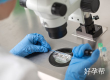 2025河南省试管医院成功率排名榜最新发布（附选择指南）