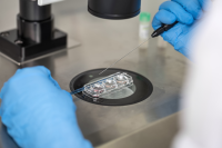 试管取卵后鲜胚移植时间大揭秘：3 - 5天窗口期的重要性与临床实践