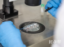 备孕5年试管成功经验分享:从三次失败到抱娃逆袭的全面攻略