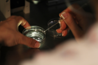 2026年国内三代试管婴儿高成功率医院top10权威推荐：北京上海市广东省广州市顶尖机构助您好孕