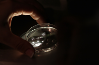 泰国三代试管婴儿流程全步骤及必须满足的要求详解