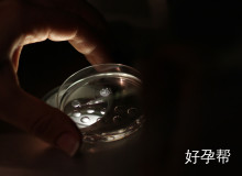 在泰国BNH医院做试管亲身经历分享：流程、费用、成功率全解析