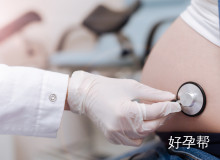 胚胎移植后能否吃生蚝？这份营养指南请收好