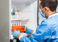 试管取卵卵子质量等级详解：从G1到D级的成功率分析