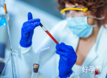 试管婴儿促排卵期LH低会影响卵泡发育吗？专家详解危害与对策