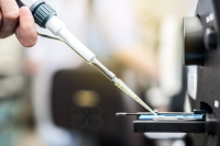 试管婴儿促排期间食谱大全：科学饮食助你提升卵子质量与好孕率