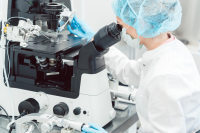 试管婴儿为啥需要减胎：深入探讨多胎妊娠的风险与必要性