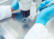 第二代试管婴儿的5大风险解析：成功率与健康隐患全知道