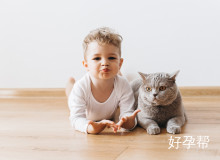 2025河北省三河市试管婴儿医院哪家好？三家高成功率医疗机构推荐