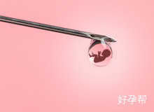 政策解读：湖北省试管纳入医保最新消息及报销流程详解